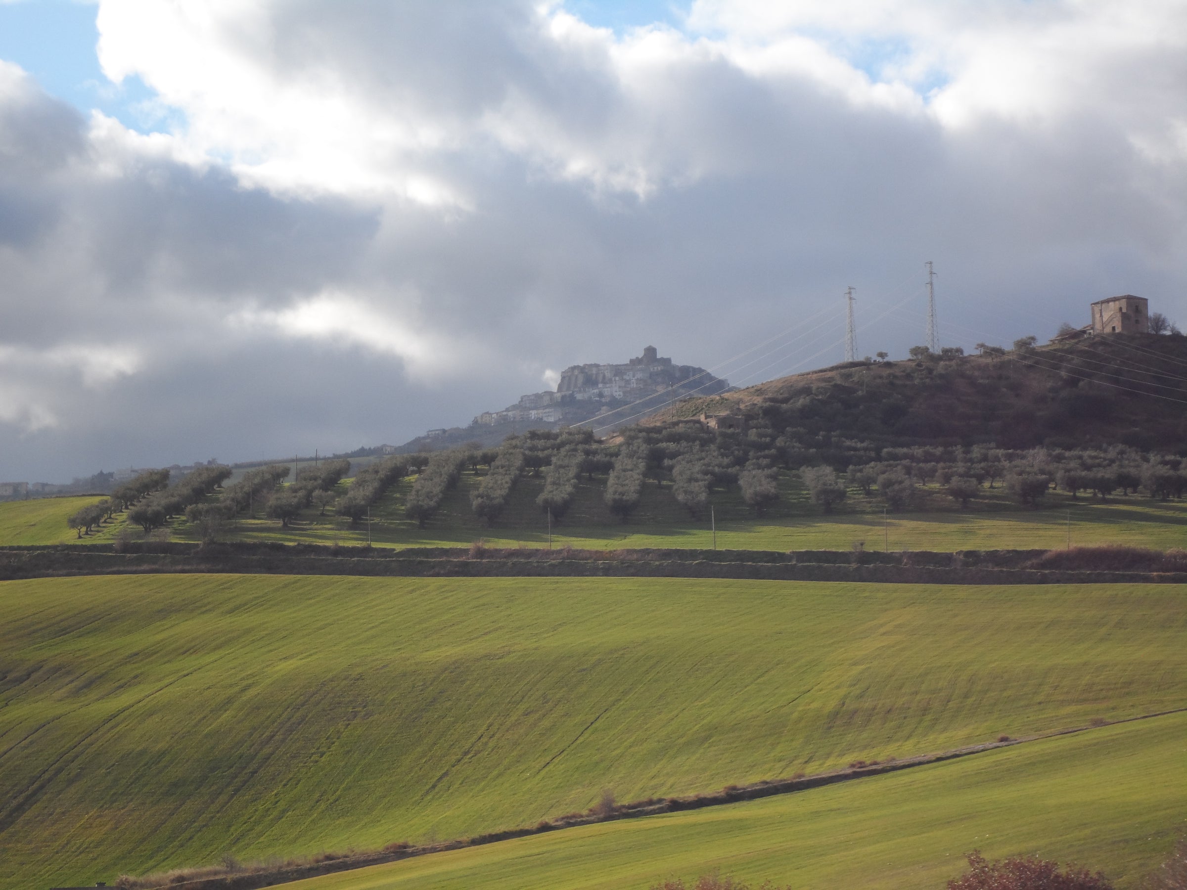 Olio regione Basilicata