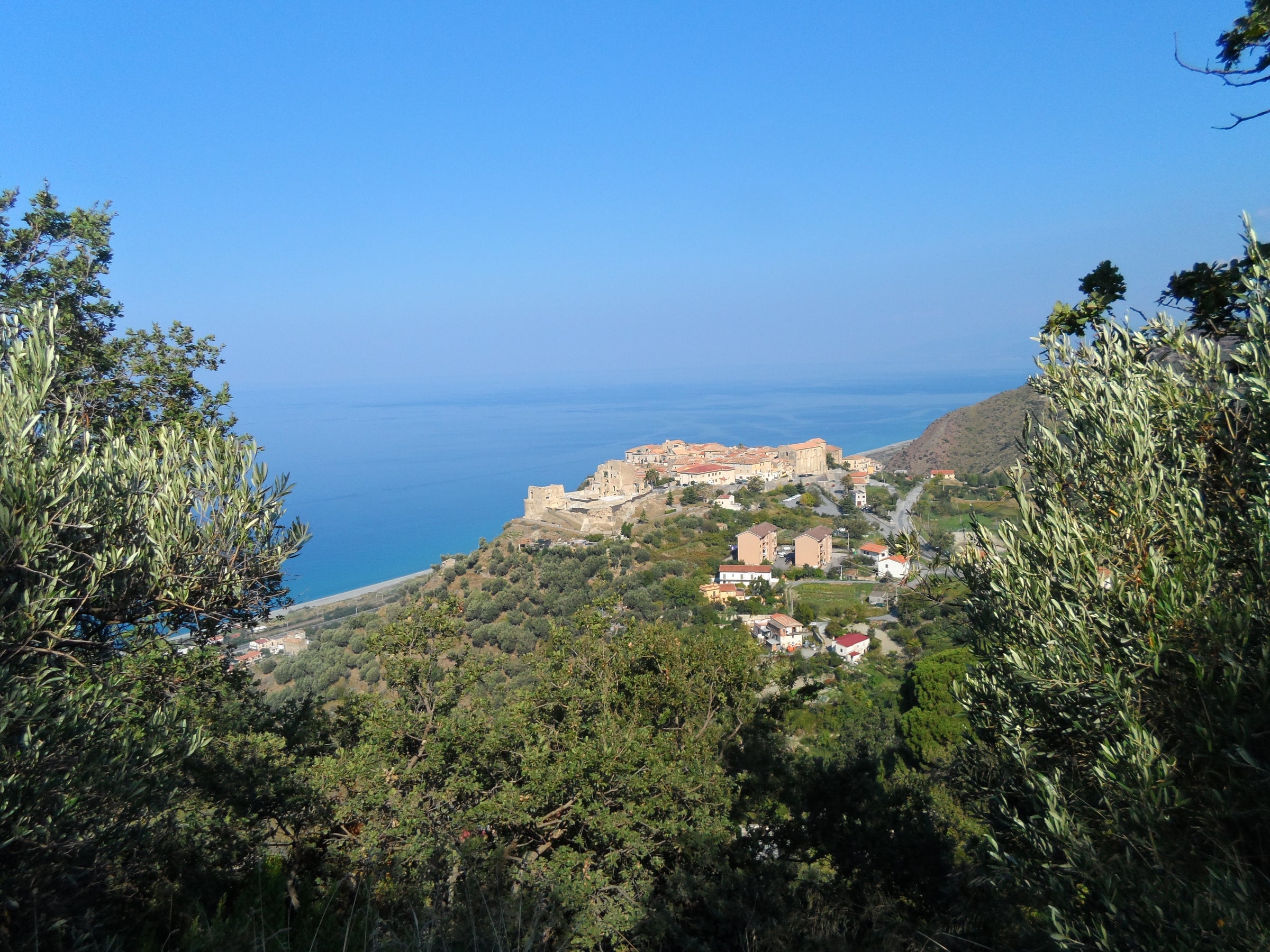Olio regione Calabria