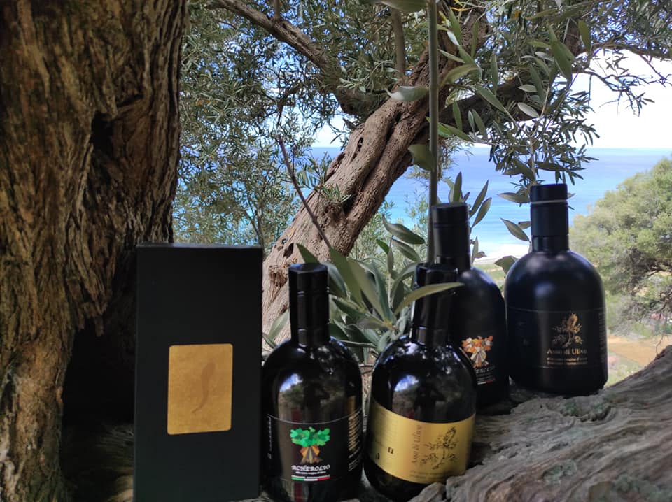 Olio Regione Puglia