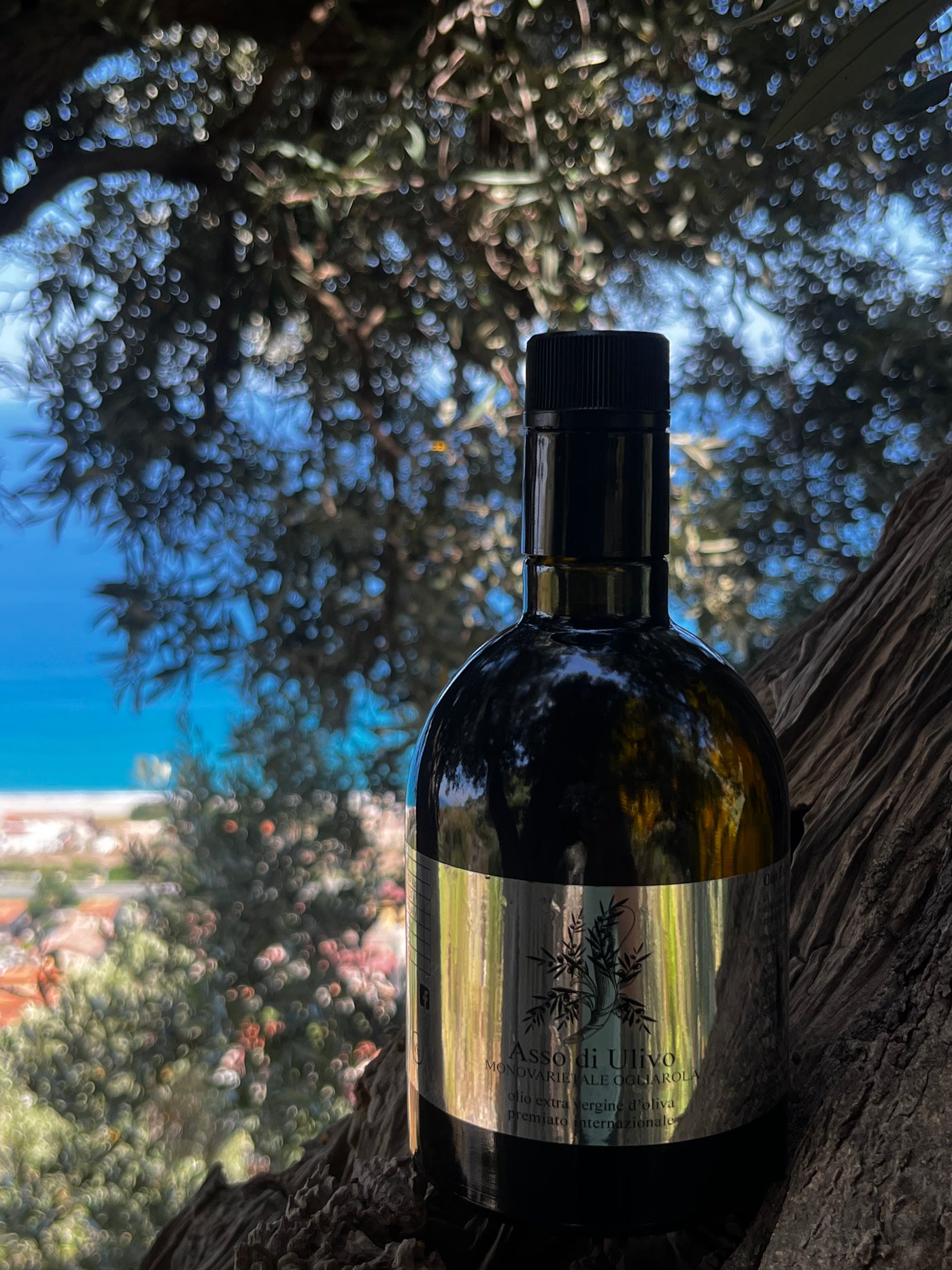 Asso di olive oro monovarietal ogliarola 500ml - Puglia